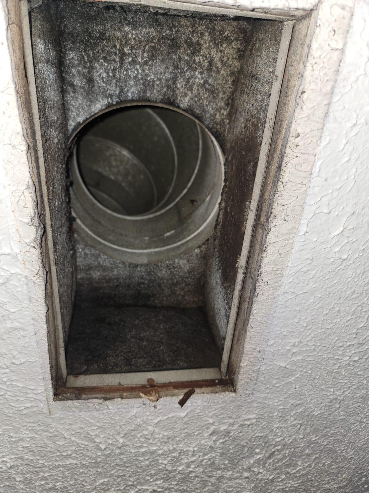Condensate Drain Line Cleaning